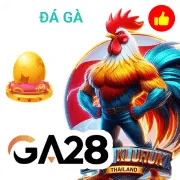 c168 Game 06